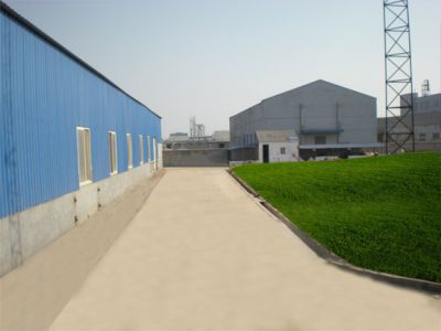 企業(yè)風貌